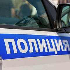 ВС РФ доработает постановление по делам об оскорблении представителей власти